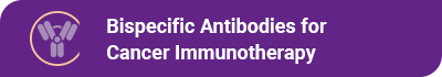 Bispecific Antibodies for Cancer Immunotherapy